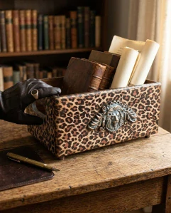 Dřevěný box Leopard & Lion 