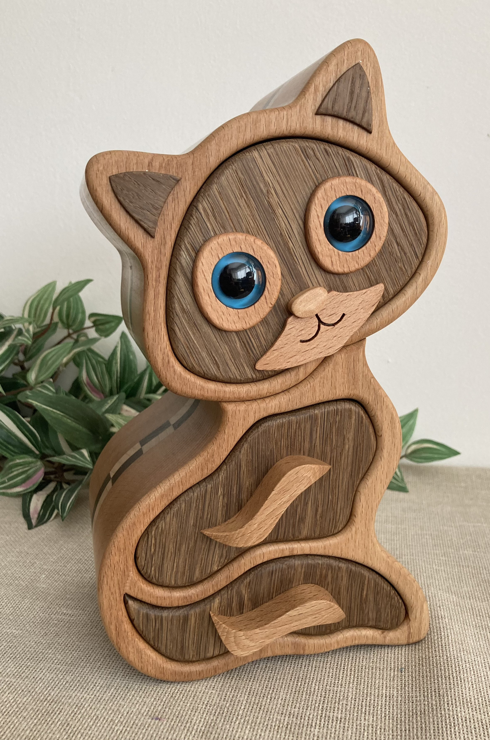 Šperkovnice kocourek hnědý