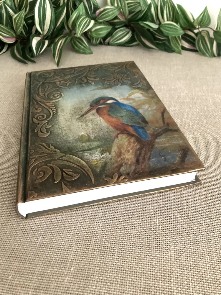 Zápisníček Píseň ledňáčka