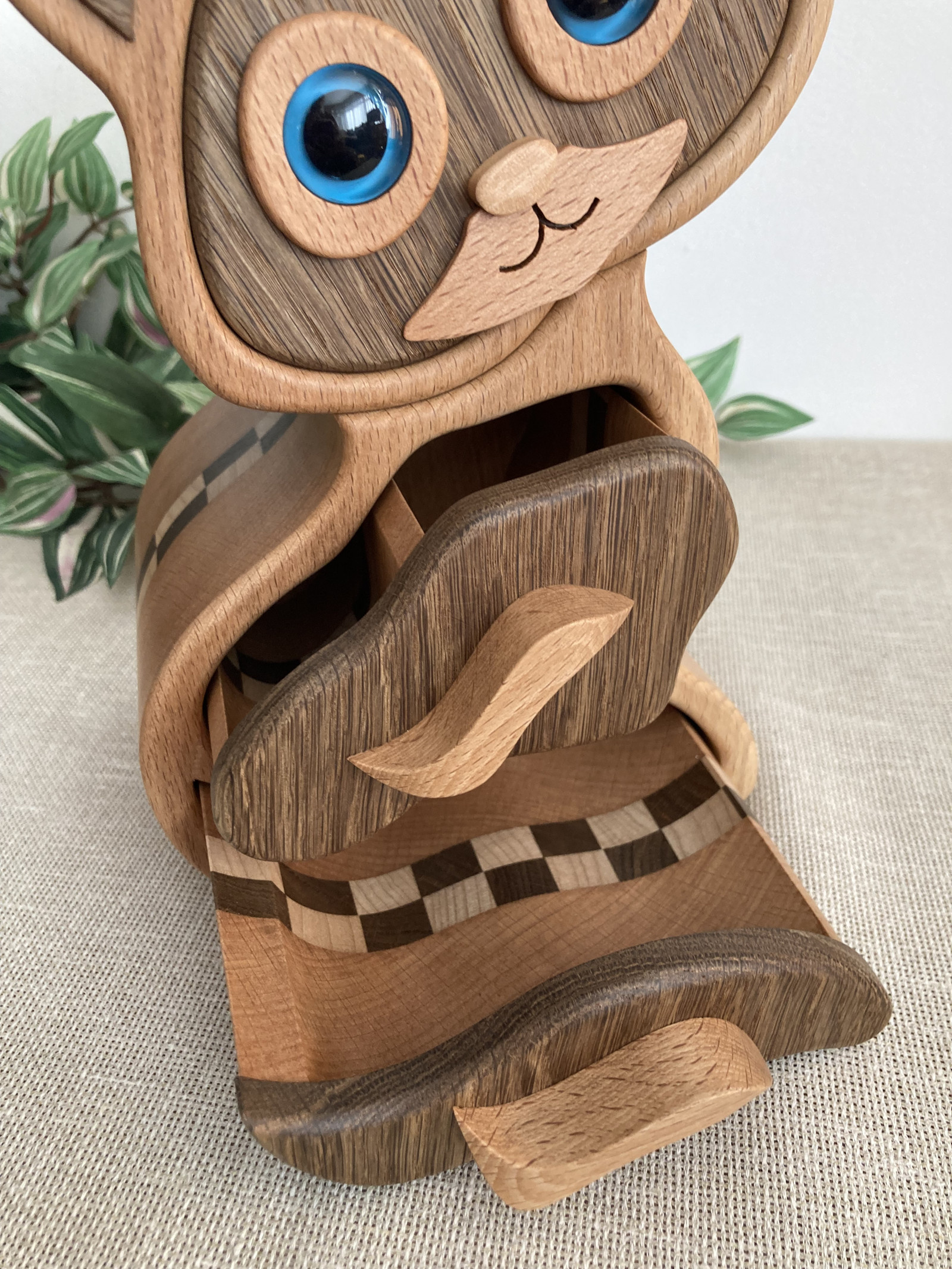 Šperkovnice kocourek hnědý